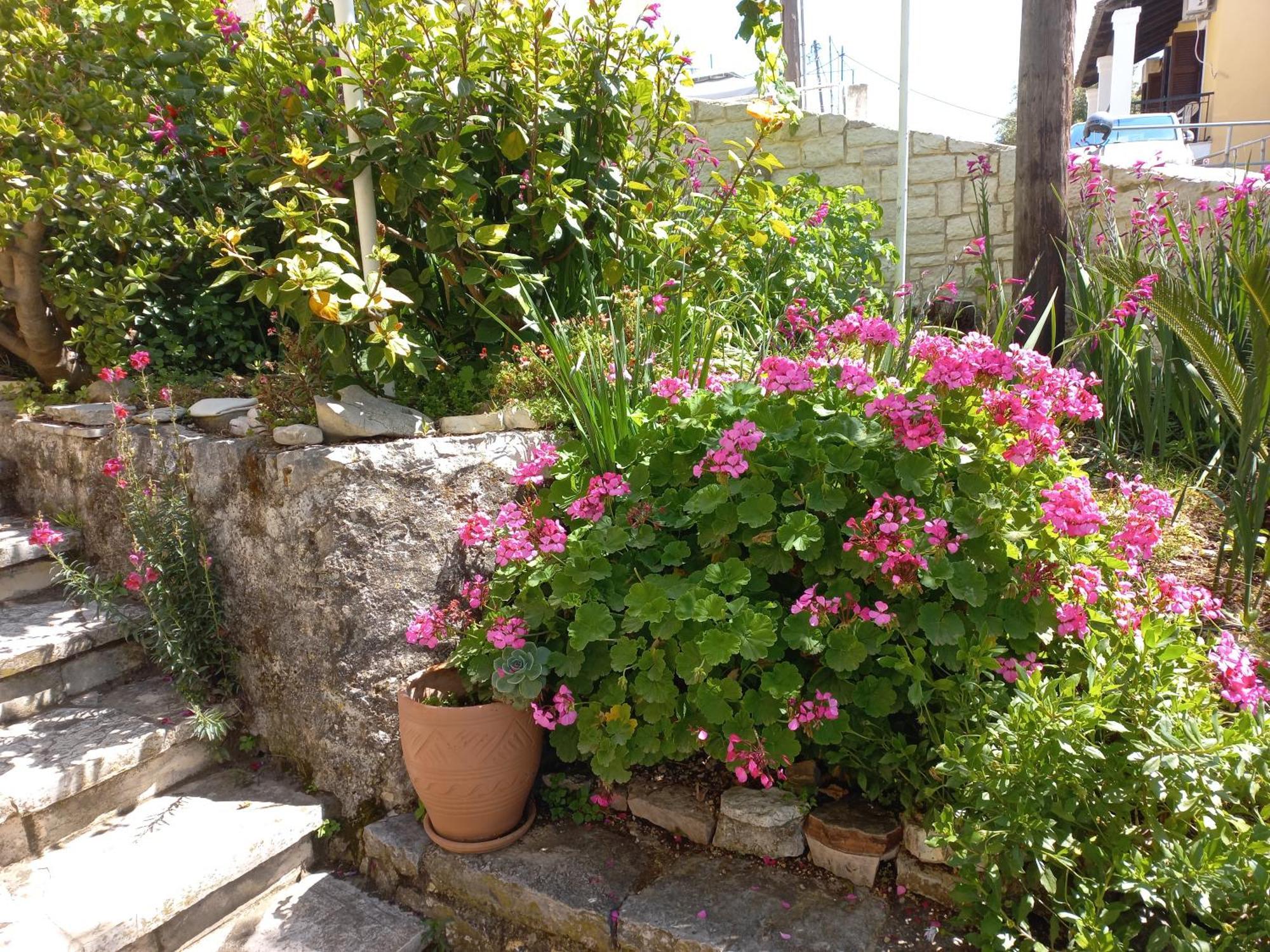 Oneiro House Daire Kassiopi Dış mekan fotoğraf