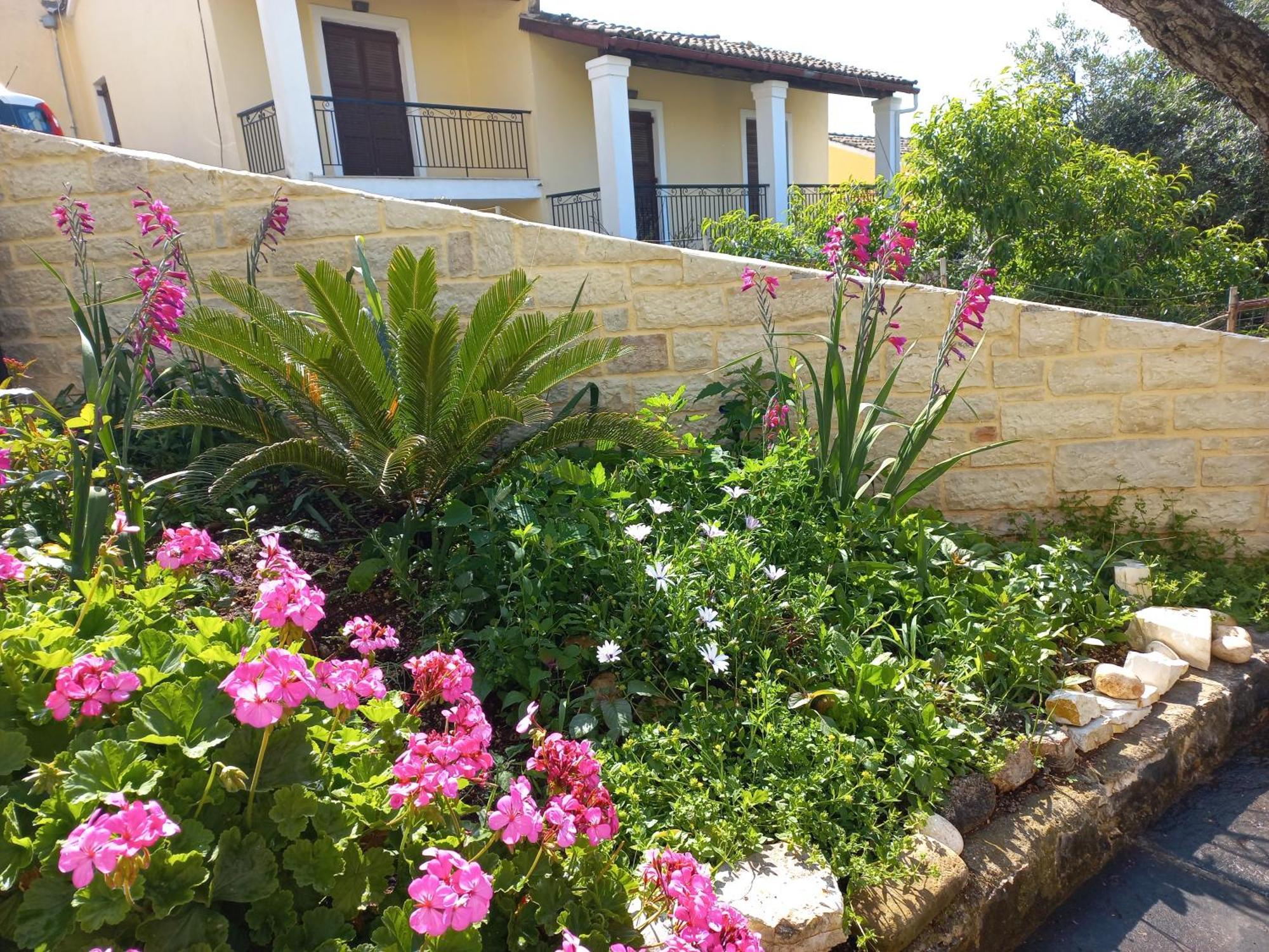 Oneiro House Daire Kassiopi Dış mekan fotoğraf
