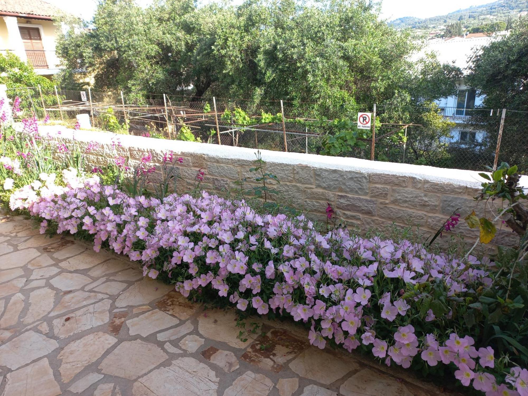 Oneiro House Daire Kassiopi Dış mekan fotoğraf